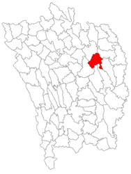 Location in Vaslui County