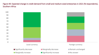 Results from the European Investment Bank's Banking in Africa survey, 2021. Expected change in credit demand from small and medium-sized enterprises in 2021 in Southern Africa. Expected change in credit demand from small and medium-sized enterprises in 2021 (%25 respondents), Southern Africa.png