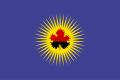 苏瓦雷卡市镇旗幟
