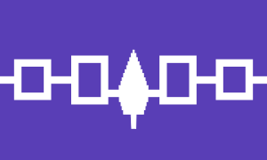 Flag of the Iroquois Confederacy, of which the Onondaga were one of five founding members.