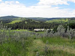 Fort Walsh 2013.jpg