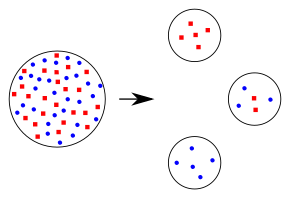 In the founder effect, small new populations contain different allele frequencies from the parent population. Founder effect.svg