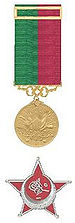 De gouden Imtyaz medaille en IJzeren Halve Maan