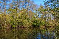 Pohled na Jarkovského jezero