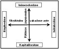 Vorschaubild der Version vom 15:00, 14. Jan. 2014