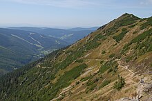 Die Hänge des Ziegenrückens über dem Langen Grund