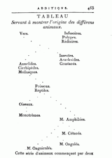 Lamarck's 1809 tree of life depiction of the origins of animal groups in Philosophie zoologique with branching evolutionary paths Lamark's depiction of the origins of the animals.gif