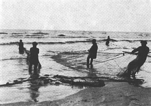 Вытягивание невода в Лиесиранта. Близ деревни Гакково. 1931 год