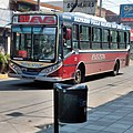 Un colectivo de la línea 266/263 al servicio de la línea 510.