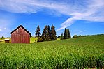 Сарай на Мейер-роуд (живописные изображения округа Вашингтон, штат Орегон) (washDA0034) .jpg