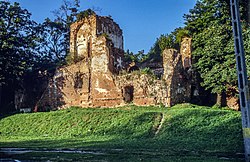 Zřícenina hradu Milicz