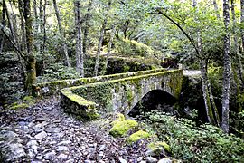 Pont de Santa Maria d'Arca.