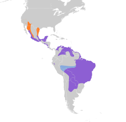 Distribución geográfica del copetón tiranillo.