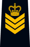 OPP Staff Sergeant.png