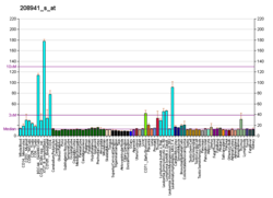 PBB GE SEPHS1 208941 s at fs.png