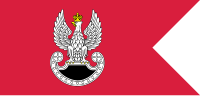 PL special forces flag IIIRP.svg