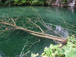 Мало Езеро Malo jezero -