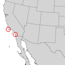 Pinus torreyana range map 2.png