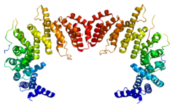 Protein KPNB1 PDB 1f59.png