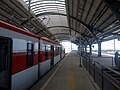 Dark Red Line train at upper-level platforms