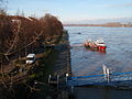 Rheinhochwasser 10.1.2011