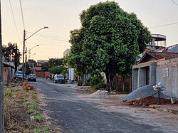 Rua João Augusto Roriz, 2023.