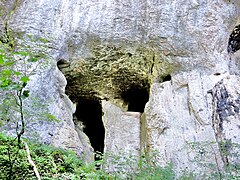 Grotte de la baume : source.