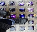 Purple sidewalk prisms