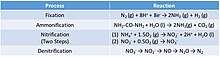 Processes that nitrogen undergo in estuarine systems Table of the Processes in the Nitrogen Cycle.jpg