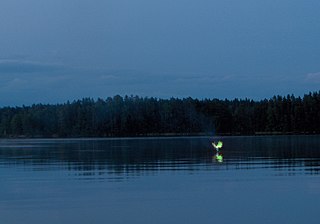 Misteri i dritave te 'feksura' 320px-Tulilautta3