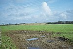 Bowl barrow 100 m north east of Home Farm Cottage