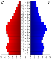 Bevolkingspiramide Hopkins County