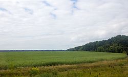 Landscape in Usmansky District