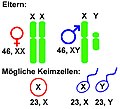 Pienoiskuva 27. marraskuuta 2006 kello 00.42 tallennetusta versiosta