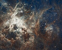 Picture of the Day (14 May 2024): Tarantula Nebula[a][b]