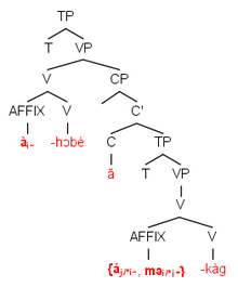 The affix indicating person, a, in the embedded clause and the affix indicating logophoricity, m@, can occupy the same syntactic position, yet they refer to different individuals. Akoose log and reg 2.png