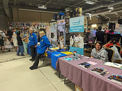 The Cats Protection stall. Image: Ash Thawley.