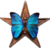 Wikivyznamenání za práci na článcích o biologii („Řád modrého motýla“)