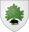 Blason