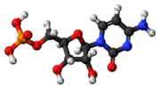 citidina monofosfato