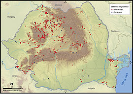 Полоз ескулапів