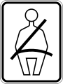 R7-5 Seat belt