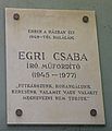 Egri Csaba író-műfordító, Csaba utca 9.