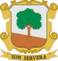 Blason de Son Servera