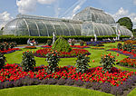 Flowers in front of the Palm House, Kew Gardens.jpg