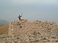 Izraelska forteca w Chasor.