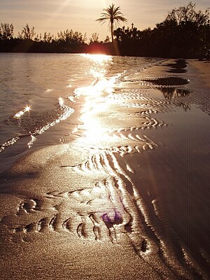 Hobe Sound National Wildlife Refuge beach at dawn.jpg