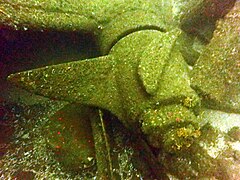 Hub of the propeller of the unidentified shipwreck off Robben Island