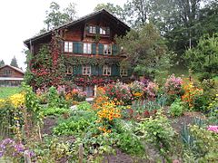 グスタード（スイス）の菜園。