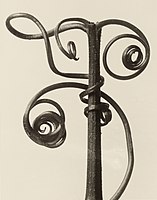 Karl Blossfeldt: Cucurbita, 1928